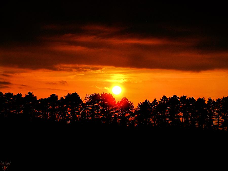 Drop of Golden Sun Photograph by Scott Hovind