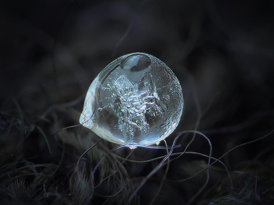 Drop of ice rain Photograph by Alexey Kljatov