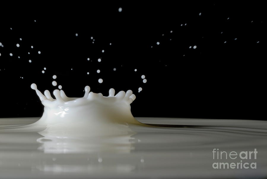 Drop Of Milk Splashing Photograph By Sami Sarkis Fine Art America