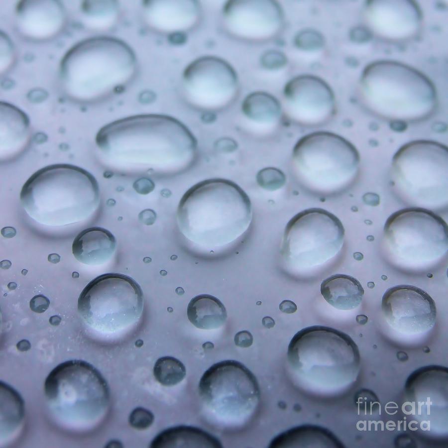 Droplets Photograph by DJ Florek