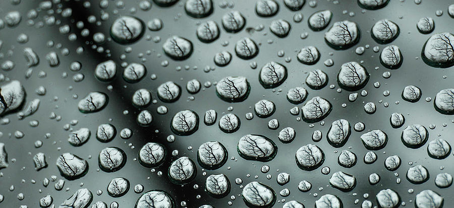 Droplets Painting by Jessie Henry