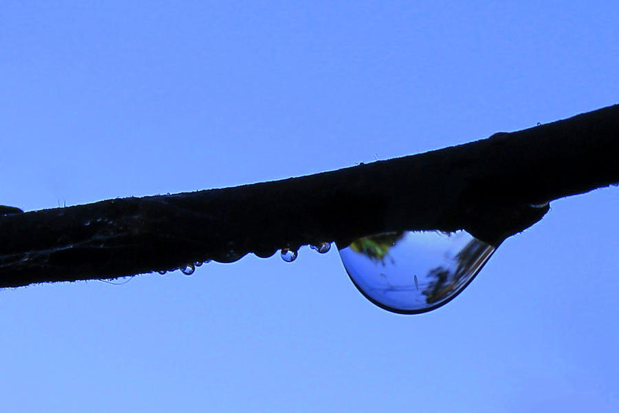 Droplets Photograph by Robert Wilder Jr