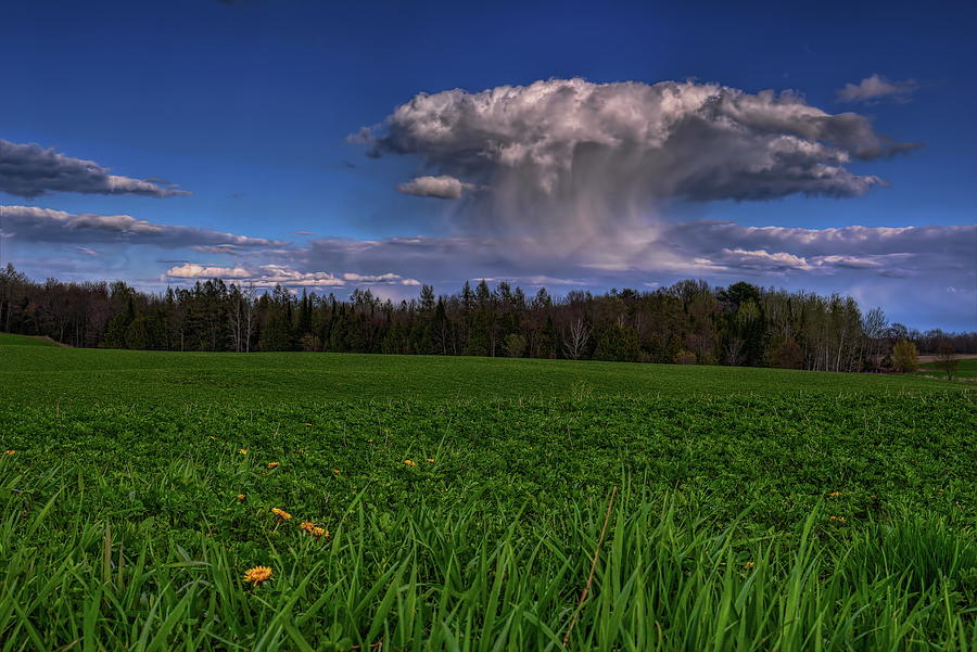 Dropping Some Spring Rain Photograph by Dale Kauzlaric