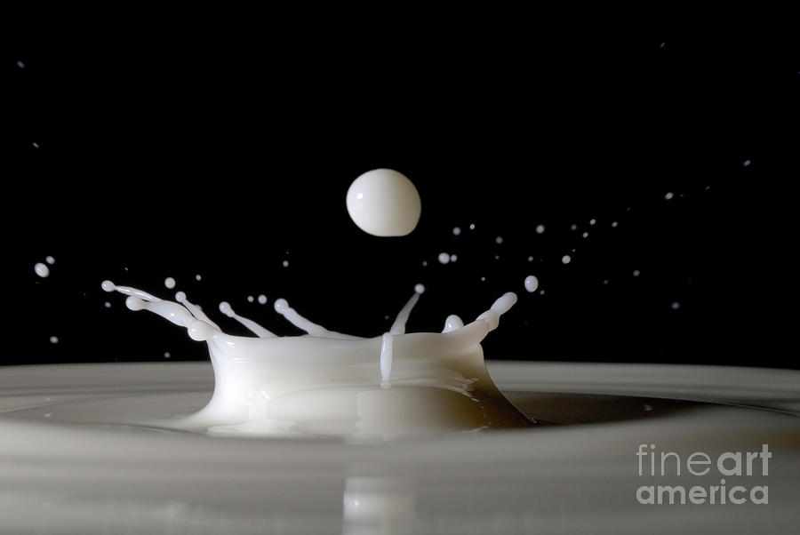 Black Background Photograph - Drops of milk splashing into the air by Sami Sarkis