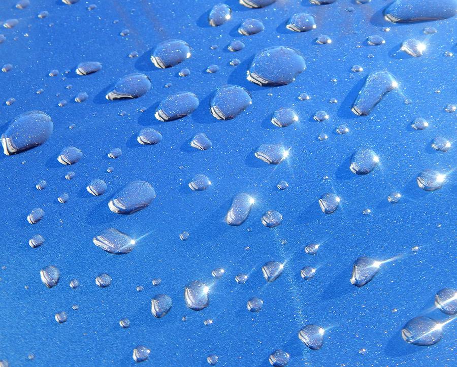 Raindrops Photograph - Drops on Blue by Hattie Schenck