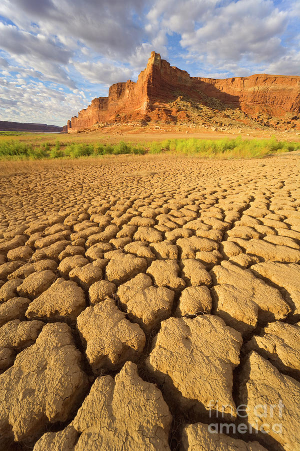 Drought Glen Canyon Utah Photograph by Yva Momatiuk John Eastcott