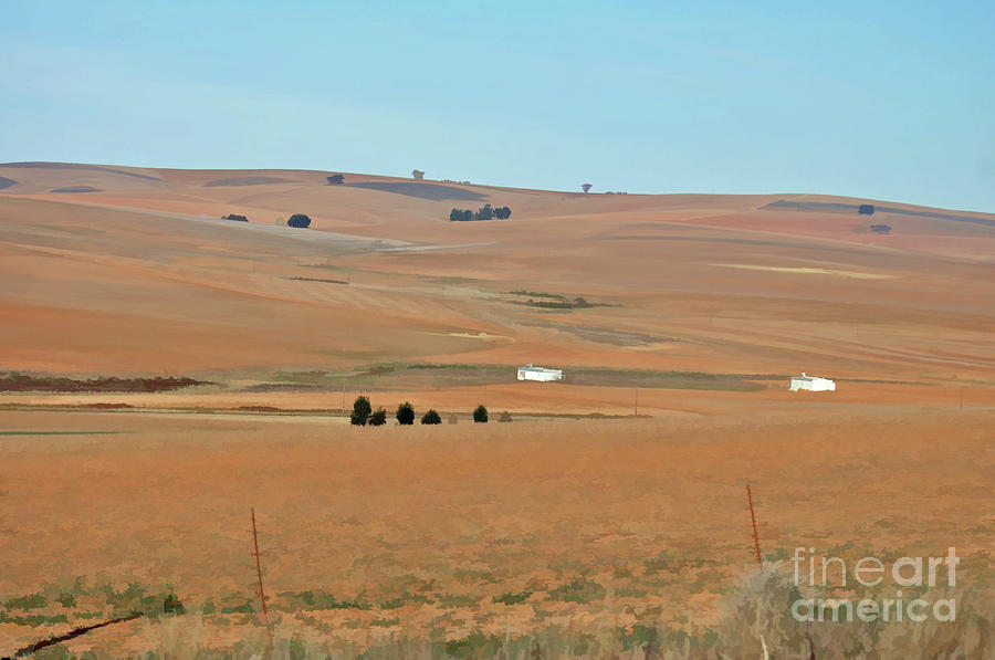 Drought-stricken South African farmlands - 1 of 3  Photograph by Josephine Cohn
