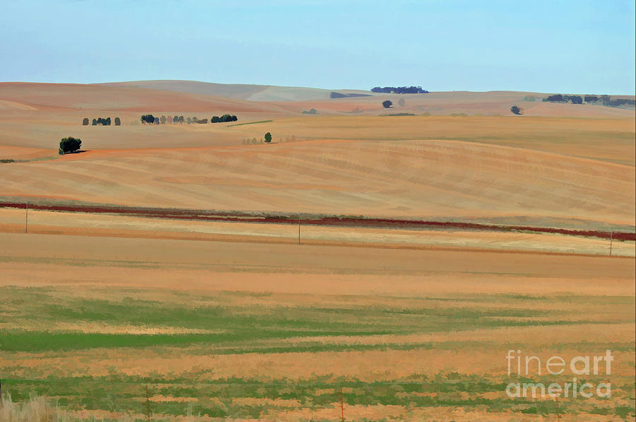 Drought-stricken South African farmlands - 2 of 3  Photograph by Josephine Cohn