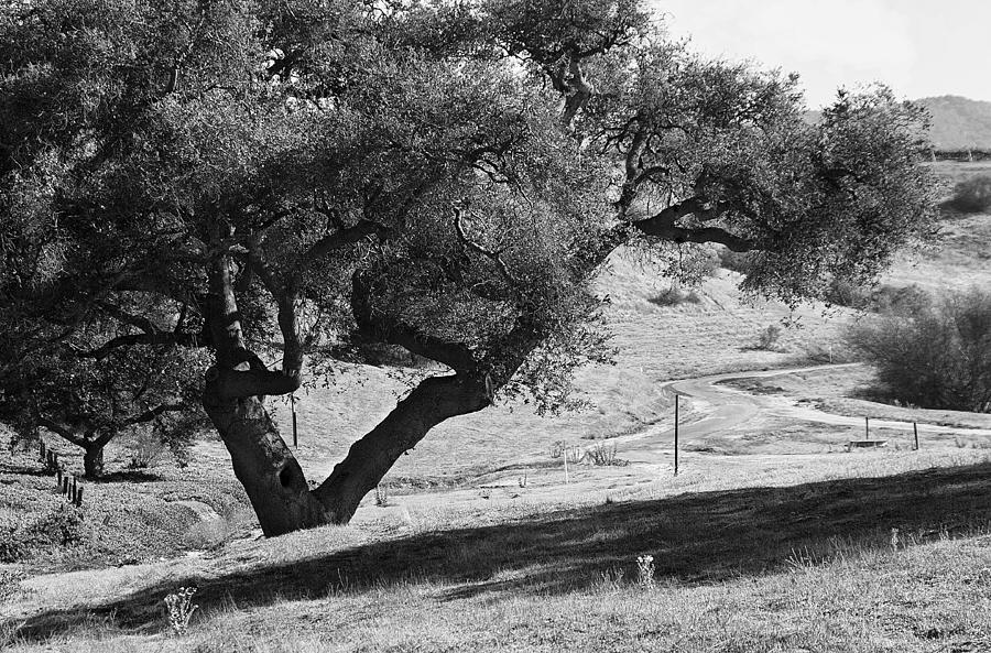 Black Photograph - Drum Canyon by Patricia Stalter Black Photograph - Drum Canyon by Patricia Stalter