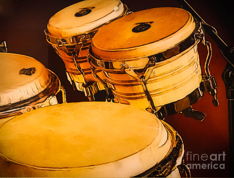 Drum Solo Skins Photograph by Gary Keesler