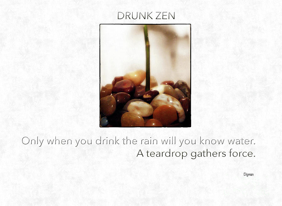 Zen Photograph - Drunk Zen by Steven Digman Zen Photograph - Drunk Zen by Steven Digman