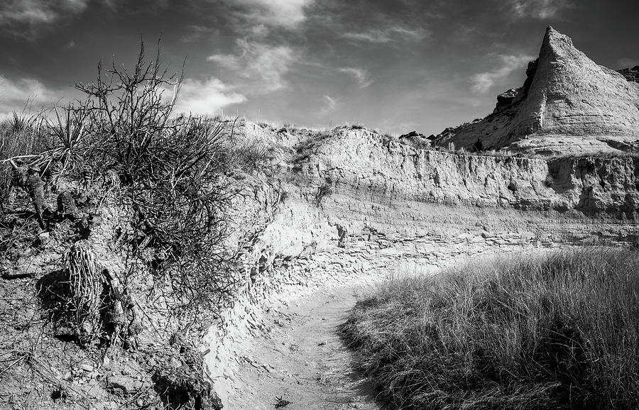 Dry Arroyo near Pawnee Buttes Photograph by Cary Leppert | Fine Art America