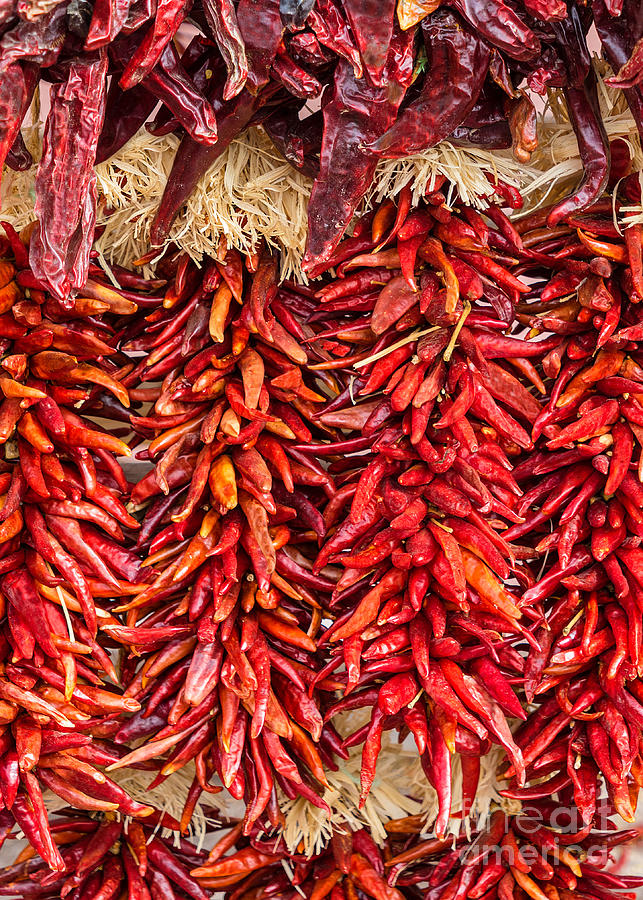 Dry Chili Peppers Photograph by Jerry Fornarotto
