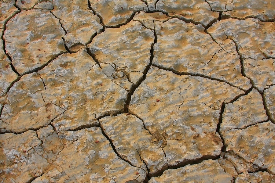 Dry Cracked Lake Bed Photograph by James BO Insogna