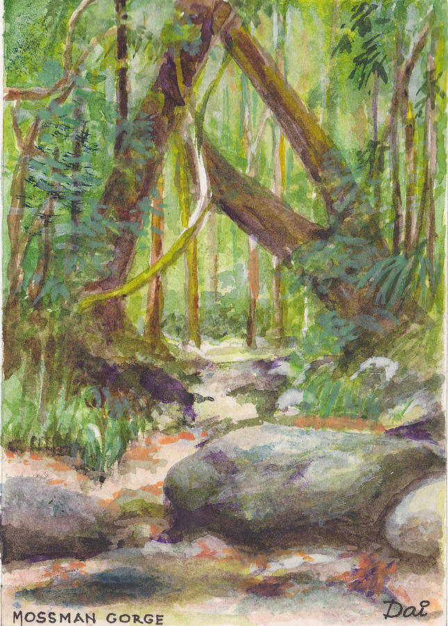 Dry creek bed in Mossman Gorge Far North Queensland Painting by Dai Wynn