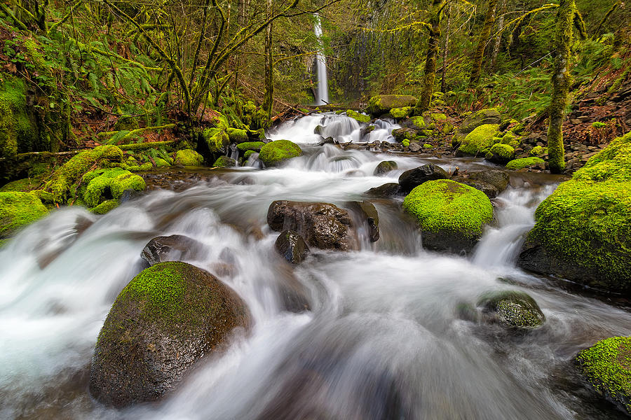 Dry Creek Falls in Spring Photograph by David Gn