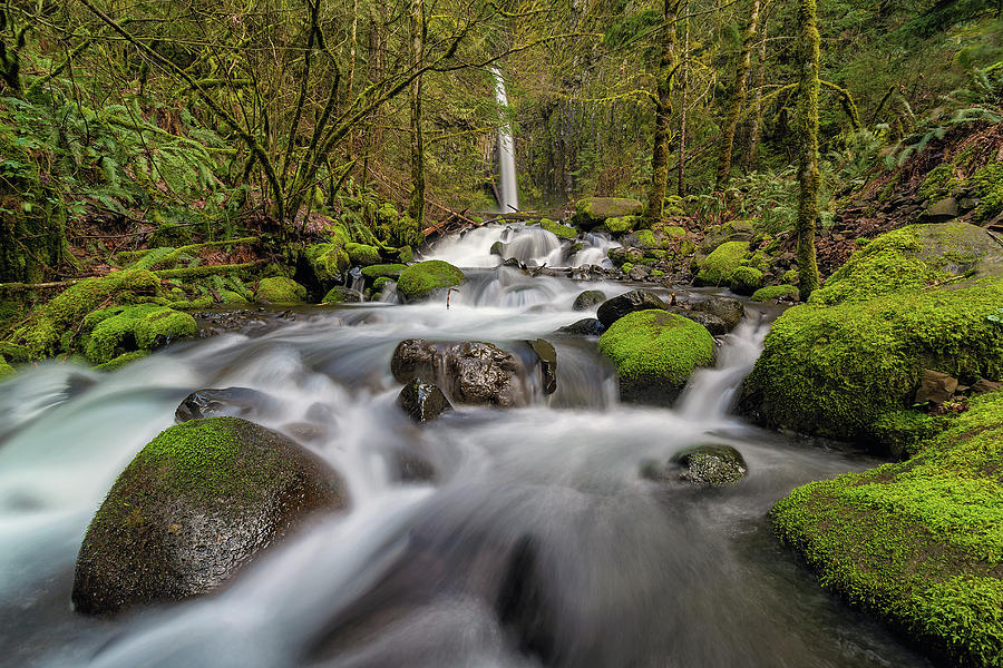 Dry Creek Falls in Springtime Photograph by David Gn