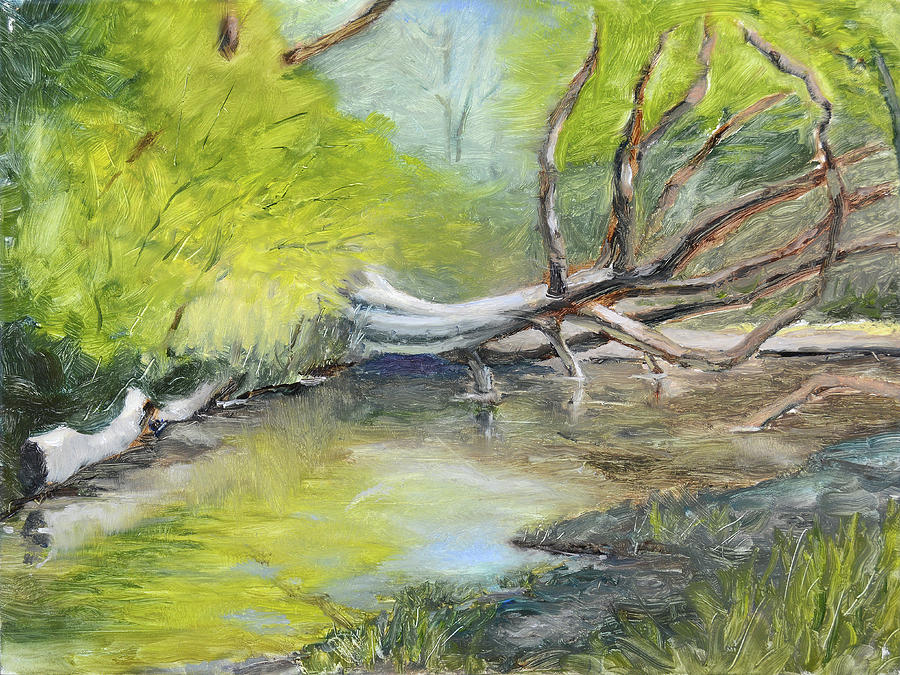 Dry Creek in Miners Ravine Painting by Mike Patterson