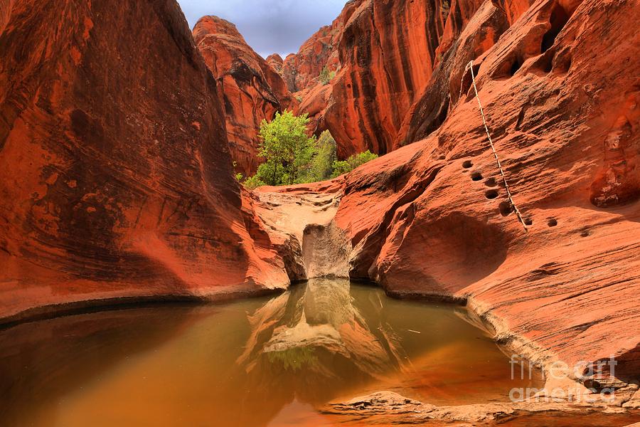 Dry Fall Reflections Photograph by Adam Jewell