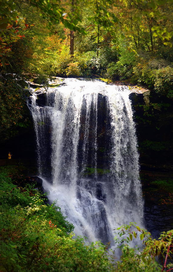Dry Falls in the Nantahala National Forest Photograph by Carla Parris