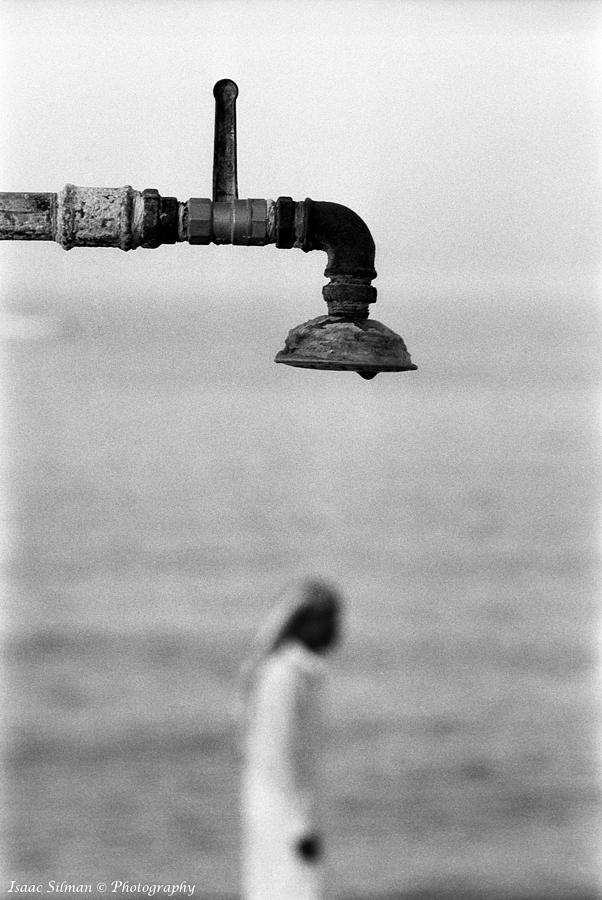 Dry  faucet Sinai  Photograph by Isaac Silman