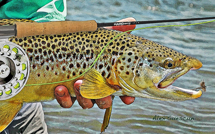 Trout Painting - Dry Fly Brown by Alex Suescun
