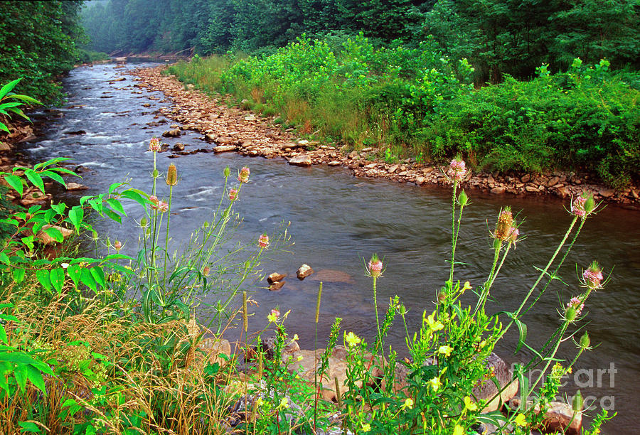 Dry Fork River Photograph