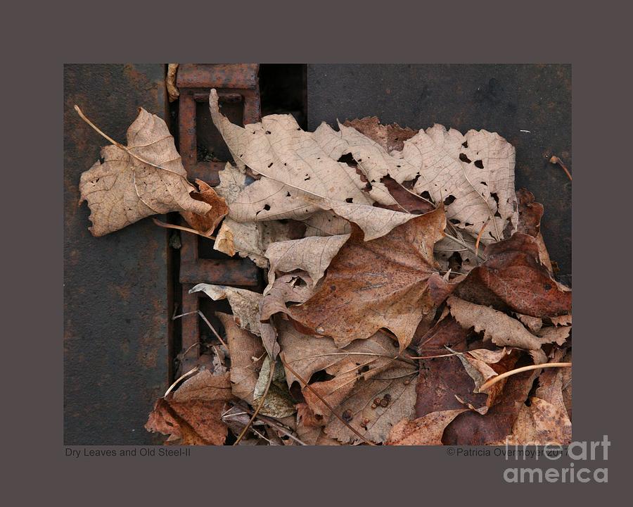 Dry Leaves and Old Steel-II Photograph by Patricia Overmoyer