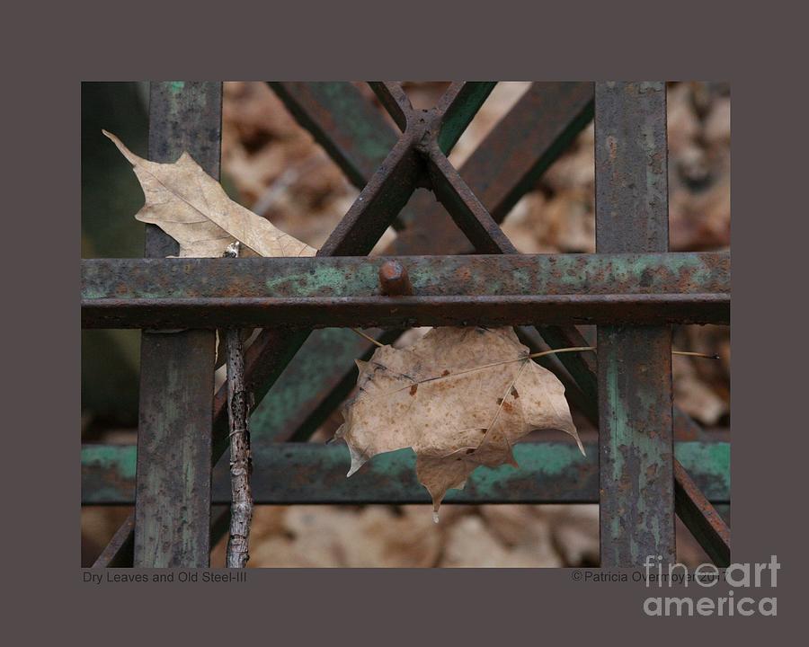 Dry Leaves and Old Steel-III Photograph by Patricia Overmoyer