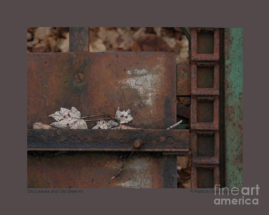 Dry Leaves and Old Steel-IV Photograph by Patricia Overmoyer