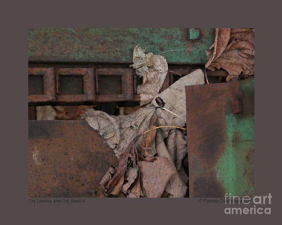 Abstract Photograph - Dry Leaves and Old Steel-V by Patricia Overmoyer