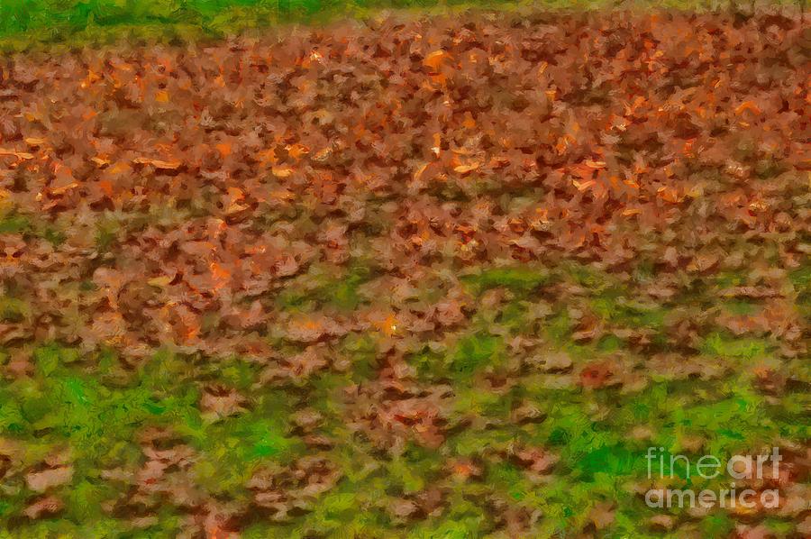 Dry Leaves On Grass Photograph