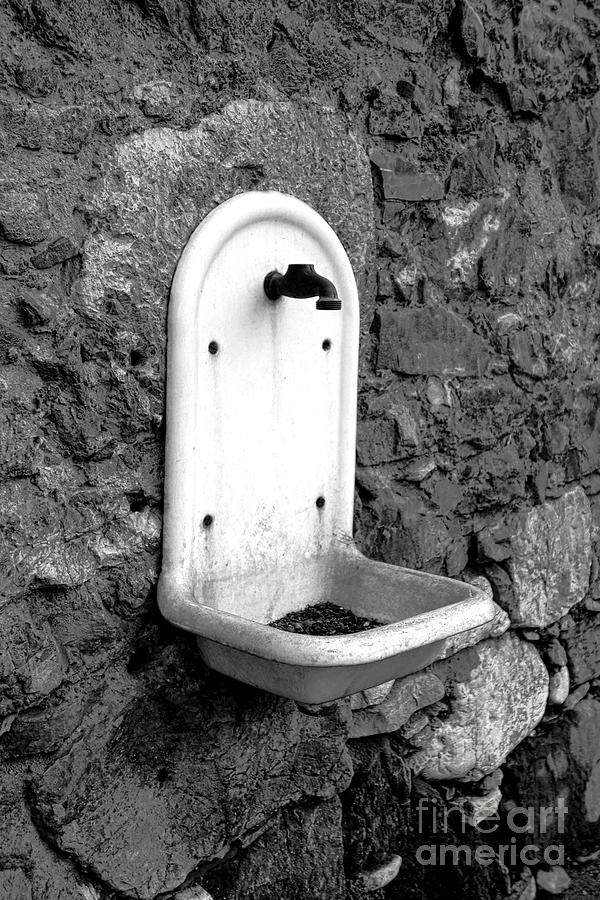 Dry Photograph by Olivier Le Queinec