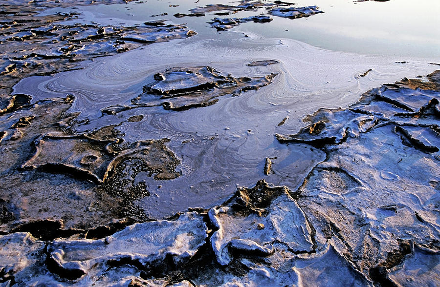 Dry pond during a drought Photograph by Sami Sarkis - Pixels