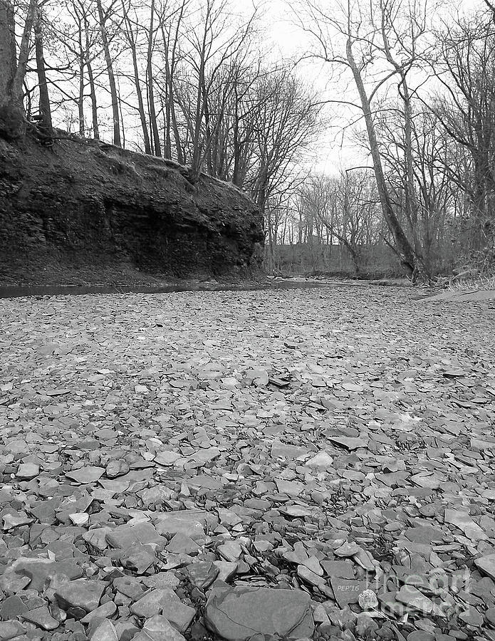 Dry River Bed Photograph by Phil Perkins