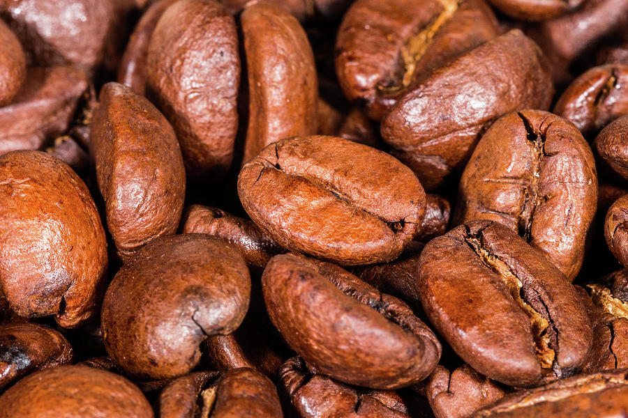 Dry Roasted Coffee Beans Photograph by SR Green