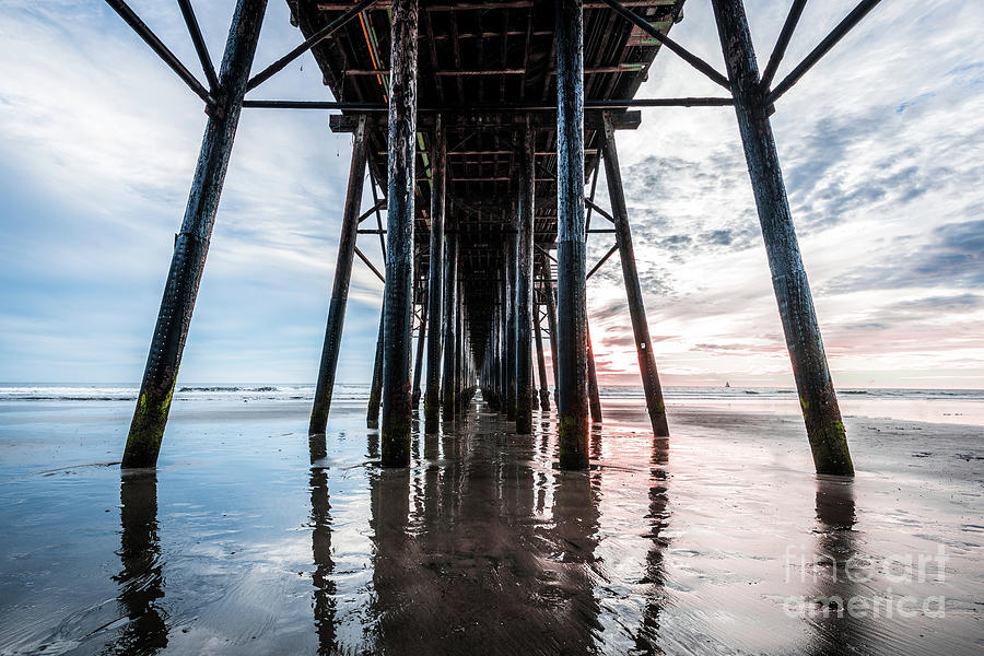 Dry Underpier Photograph by David Levin