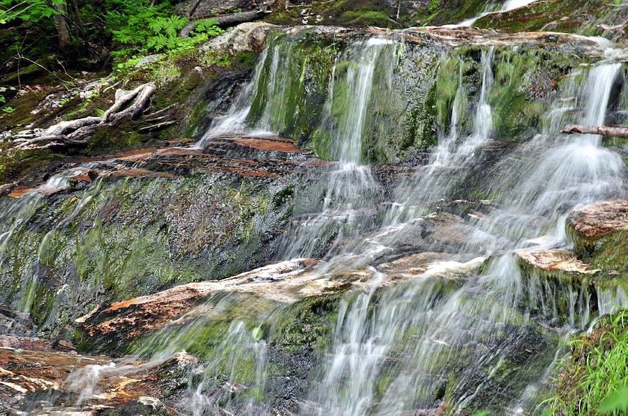 Dryad Falls III Photograph by Frank LaFerriere - Fine Art America