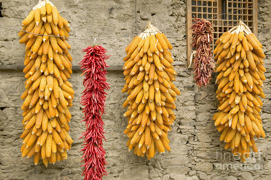 Drying Corn And Red Peppers Photograph by Inga Spence
