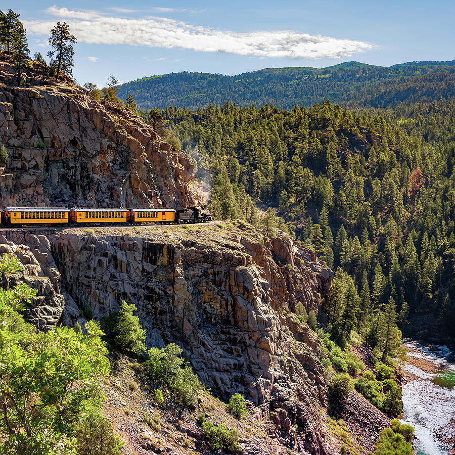 Tree Photograph - DSNG Narrow Gauge Railroad Train - Square Format by Gregory Ballos
