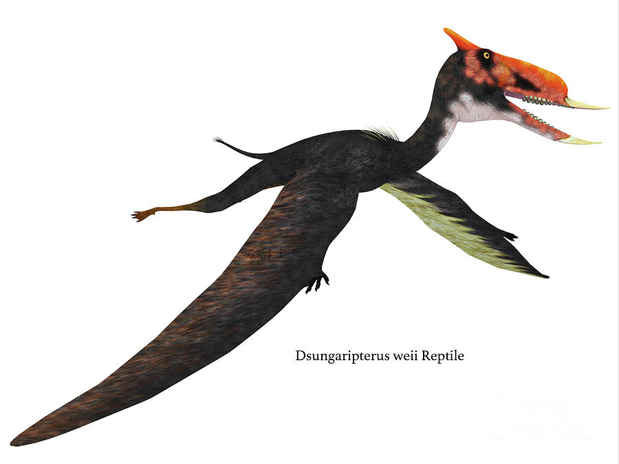 Dsungaripterus Flying Reptile Digital Art by Corey Ford