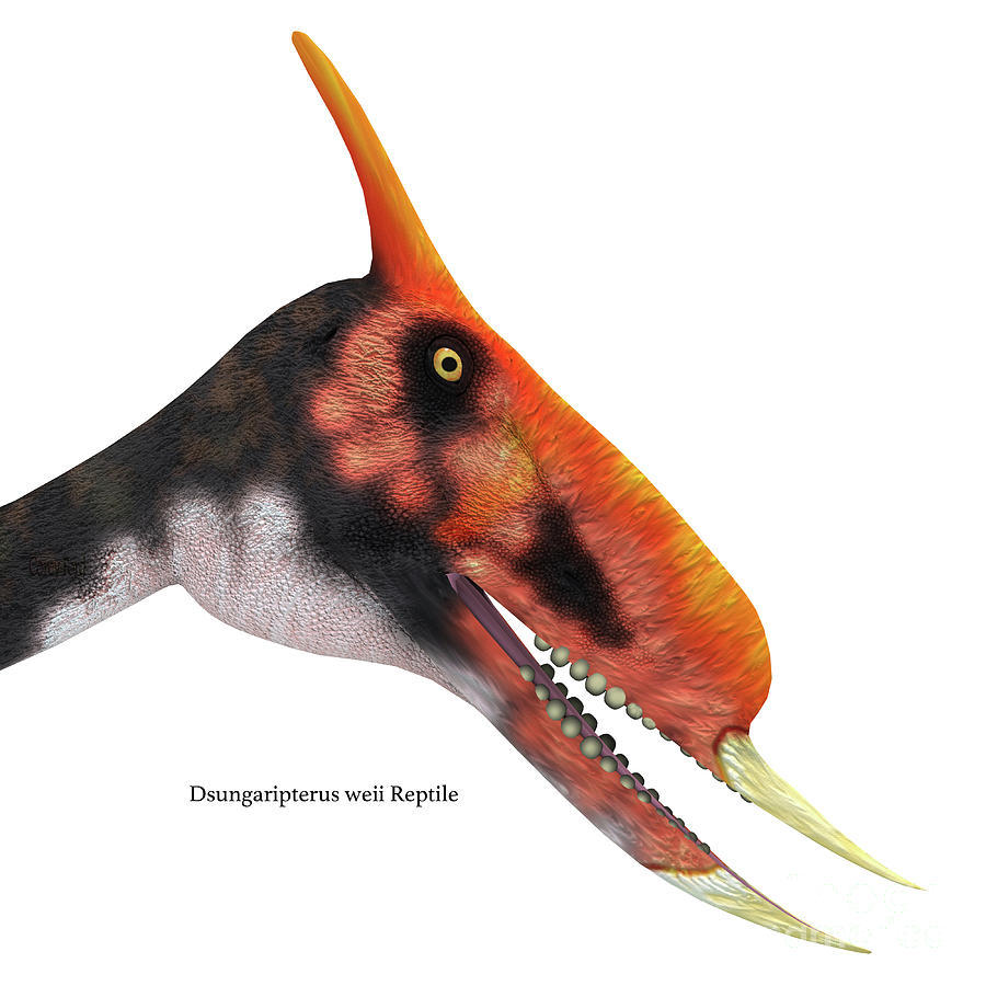 Dsungaripterus Reptile Head Digital Art by Corey Ford