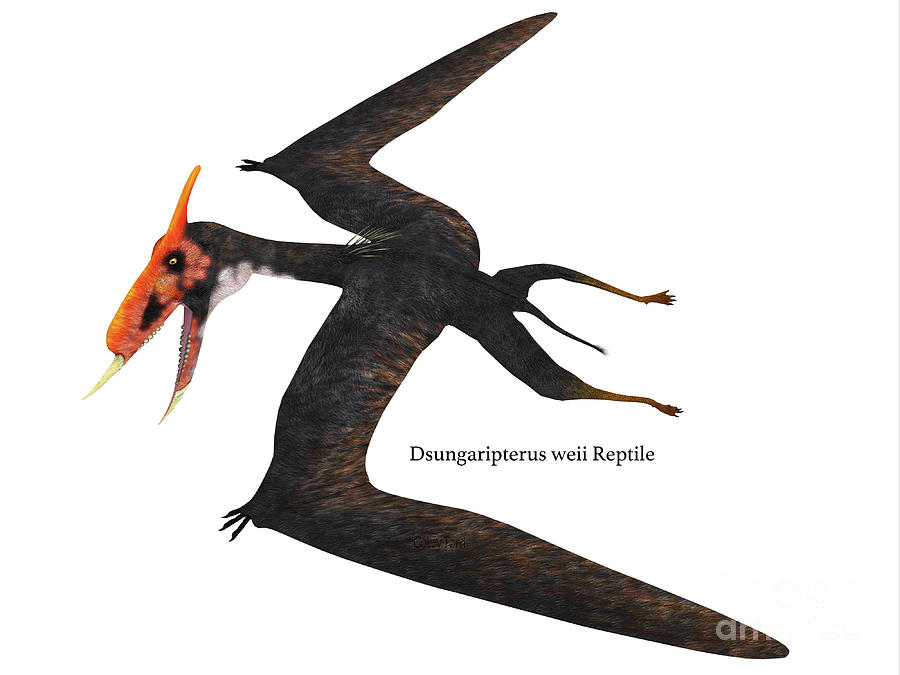 Dsungaripterus Reptile Side Profile Digital Art by Corey Ford