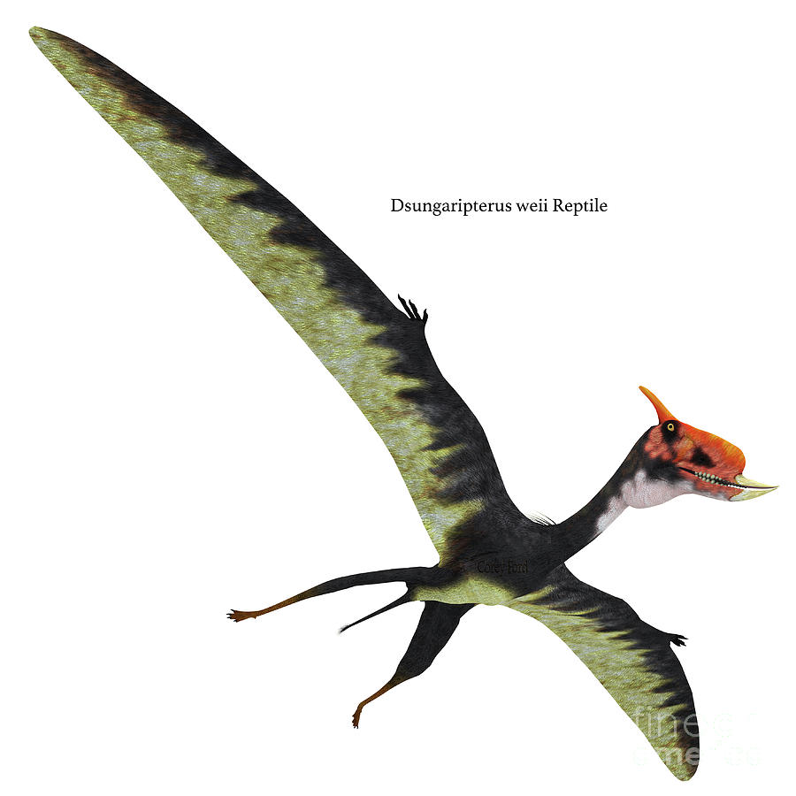 Dsungaripterus Reptile Wings Spread Digital Art by Corey Ford