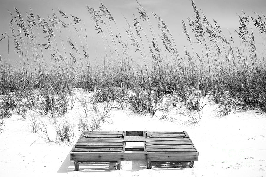Dual Wooden Tanning Beds on White Sand Dune Destin Florida Black and White Photograph by Shawn OBrien