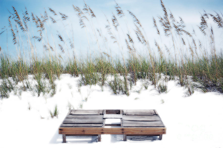 Dual Wooden Tanning Beds on White Sand Dune Destin Florida Diffuse Glow Digital Art Photograph by Shawn OBrien