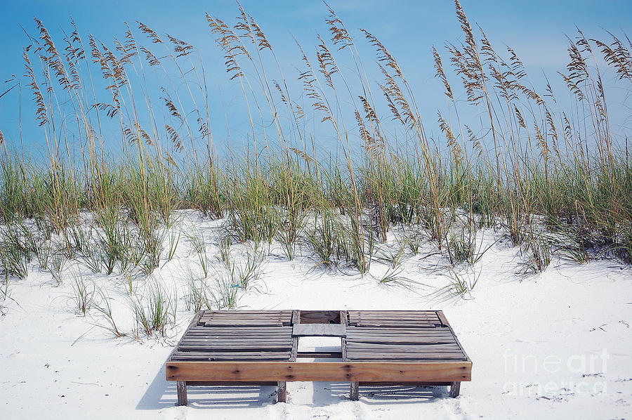 Dual Wooden Tanning Beds on White Sand Dune Destin Florida Photograph by Shawn OBrien