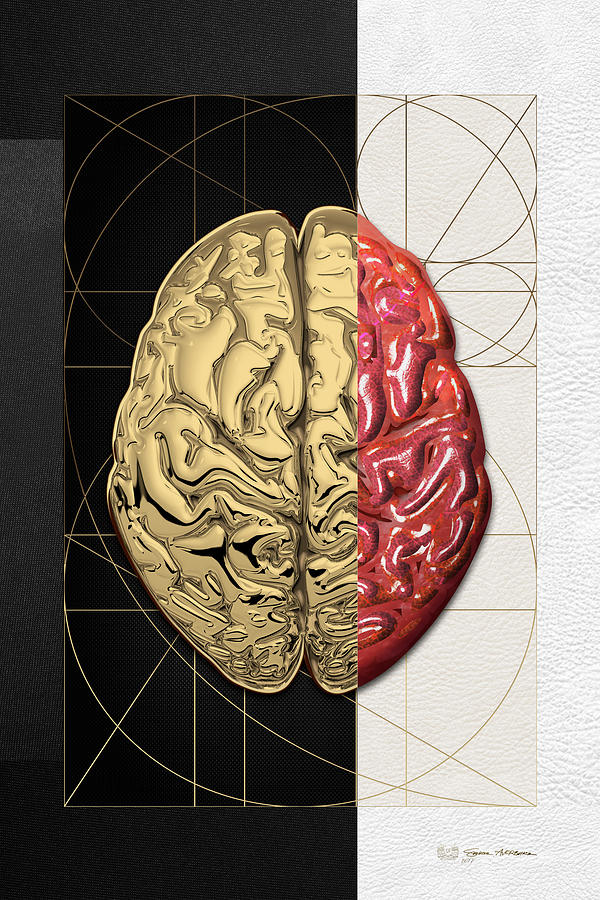 Dualities - Half-Gold Human Brain on Black and White Canvas Digital Art by Serge Averbukh