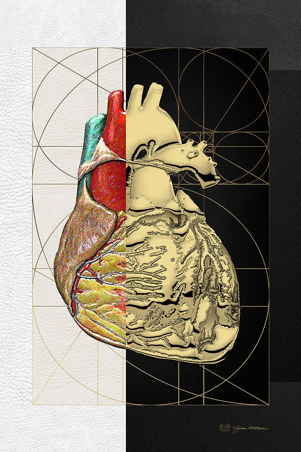 Dualities - Half-Gold Human Heart on Black and White Canvas Digital Art by Serge Averbukh