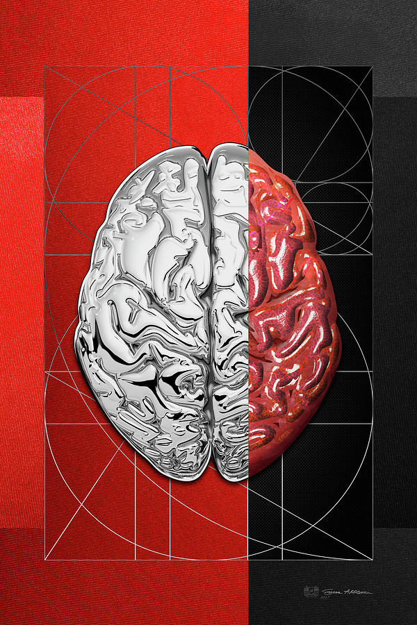 Dualities - Half-Silver Human Brain on Red and Black Canvas Digital Art by Serge Averbukh